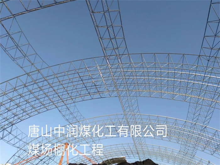东丽煤场棚化工程
